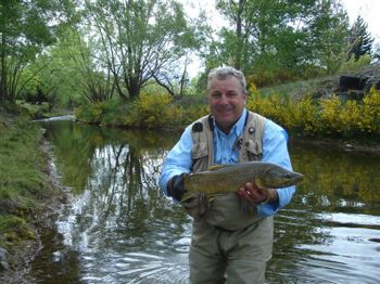 Wanaka fly fishing, guide Derek Grzelewski